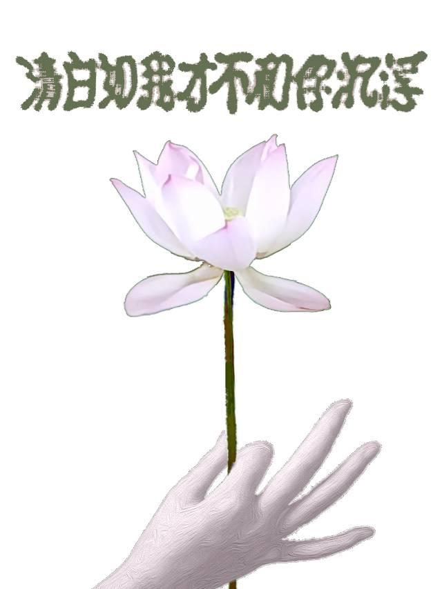 清白如我才不和你沈浮