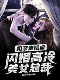 相亲走错桌,闪婚高冷美女总裁