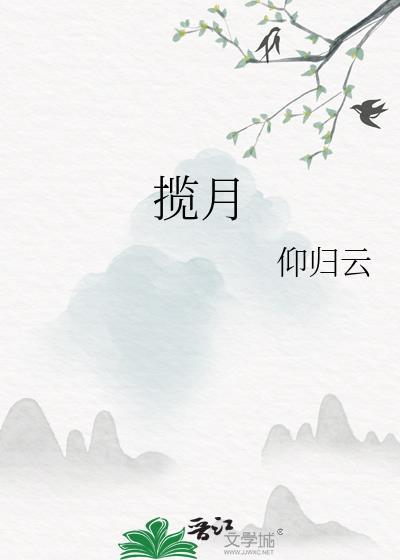 揽月