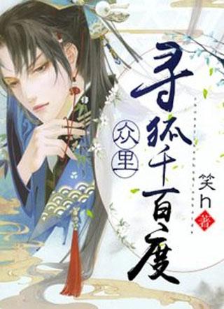 众裏寻狐千百度