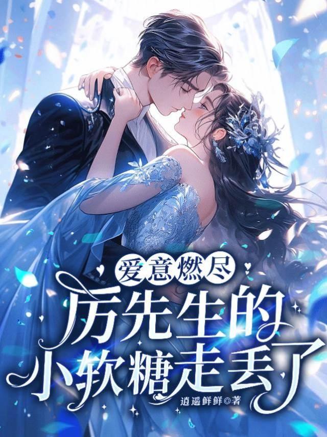 爱意燃尽:厉先生的小软糖走丢了