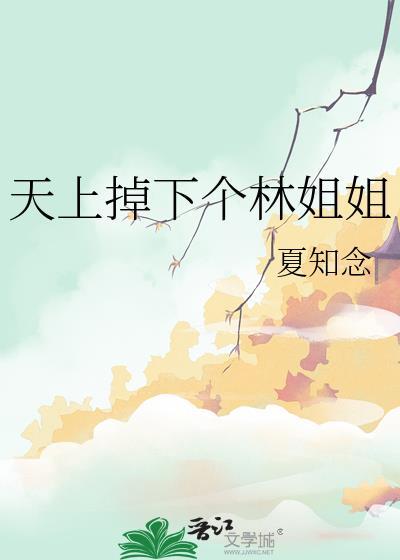 天上掉下个林姐姐