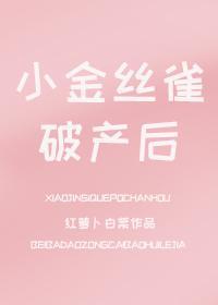 小金丝雀破产后