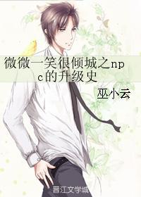 微微一笑很倾城之npc的升级史