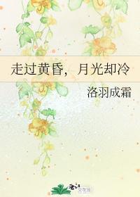 走过黄昏,月光却冷