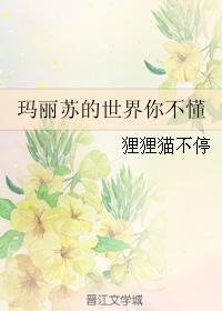 玛丽苏的世界你不懂