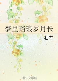 梦裏珰琅岁月长