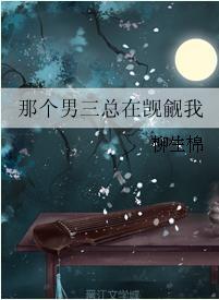那个男三总在觊觎我