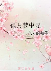 孤月梦中寻