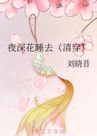 夜深花睡去(清穿)
