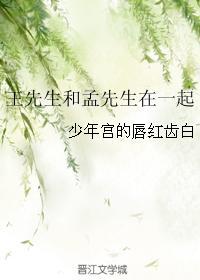 王先生和孟先生在一起