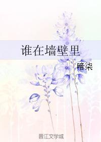 谁在墻壁裏