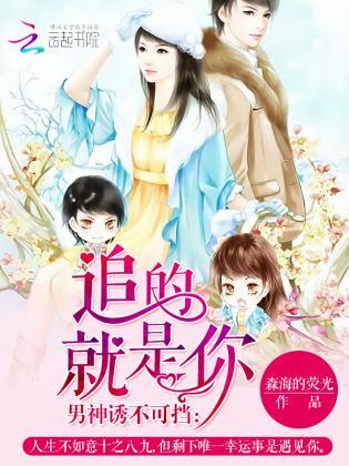 男神诱不可挡:追的就是你