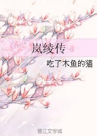 岚绫传