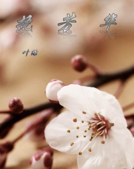 挽芳华