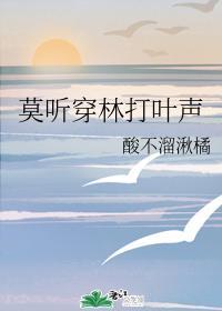 莫听穿林打叶声