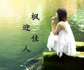 枫迎佳人