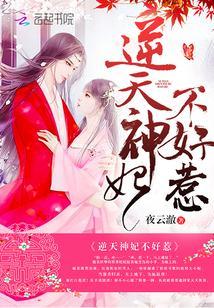 逆天神妃不好惹