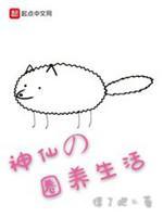 合作伙伴不是人