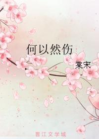 何以然伤