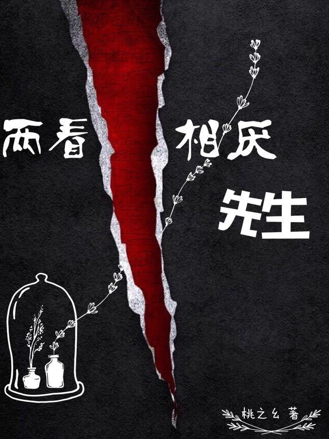 两看相厌先生