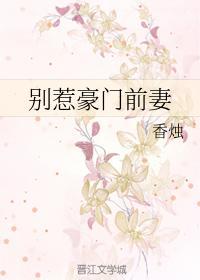 别惹豪门前妻