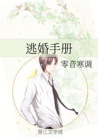 逃婚手册