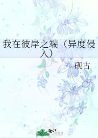 我在彼岸之端（异度侵入）