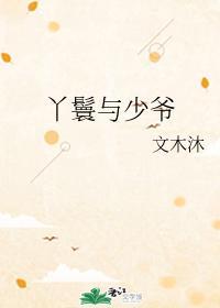 丫鬟与少爷