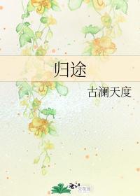 归途