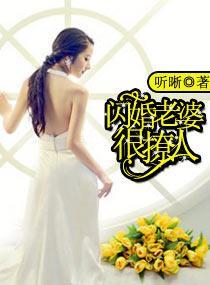 闪婚老婆很撩人