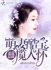 追爱总裁:萌妻酷宝揽入怀