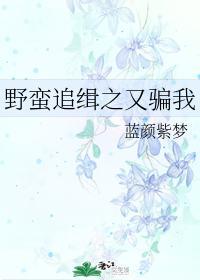 野蛮追缉之又骗我