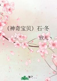 (神奇宝贝)石·冬