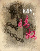红颜殇之情奴