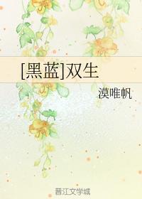 [黑蓝]双生
