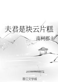 夫君是块云片糕