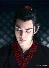 陈情令之同归(双鬼道)