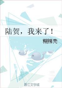 陆贺,我来了!