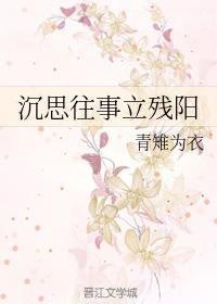 沈思往事立残阳