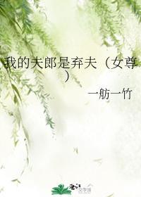 我的夫郎是弃夫(女尊)