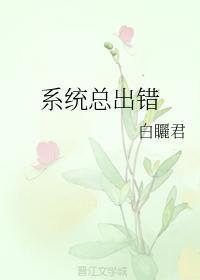 我的系统丢了