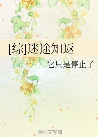 [综]迷途知返