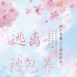 逃离被包养[快穿]