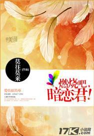 燃烧吧,暗恋君!
