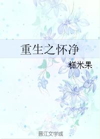 重生之怀凈