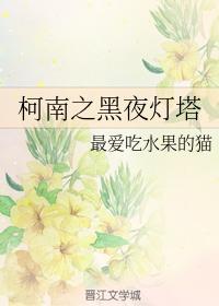 柯南之黑夜灯塔