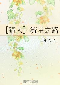 ［猎人］流星之路