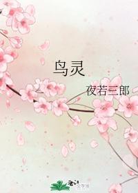 鸟灵