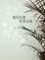 南风知意